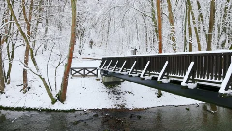 Bridge in park above the river Stock Footage 231262347