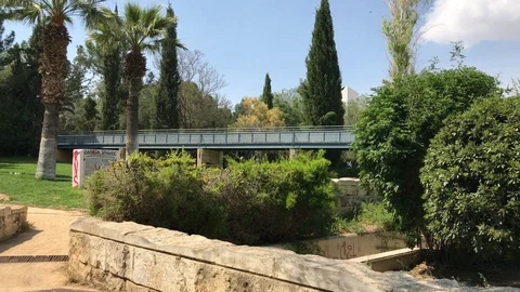 Bridge at the park distance view Stock Footage 89945243