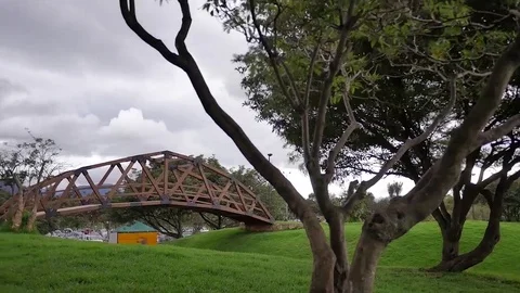 Bridge in the park Stock Footage 72682370