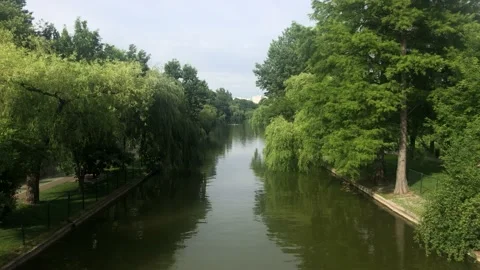 On a bridge in a park 库存影片 132069426