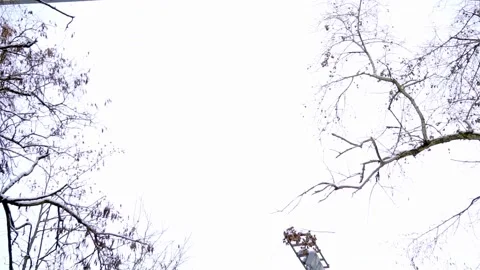 Bridge in the park 스톡 동영상 147507513