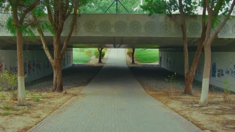 Bridge in a park Stock Footage 299753604