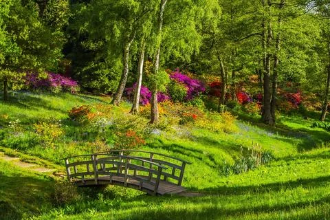 Bridge, Park, Grass image Stock Photos