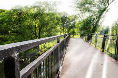 Bridge in the park Foto stock
