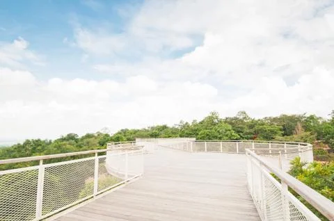 Bridge in the park. Stock Photos