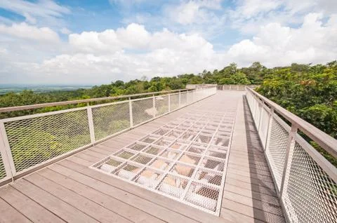 Bridge in the park. Stock Photos