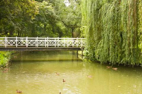 Bridge in park Stock Photos