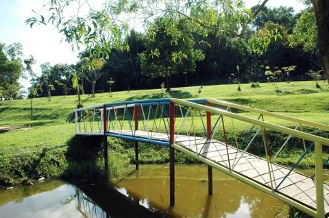Bridge in a park 写真素材