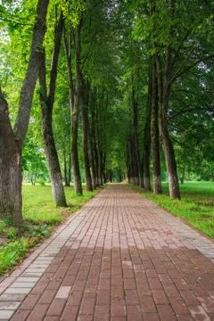 Bridge in the park Fotos Stock