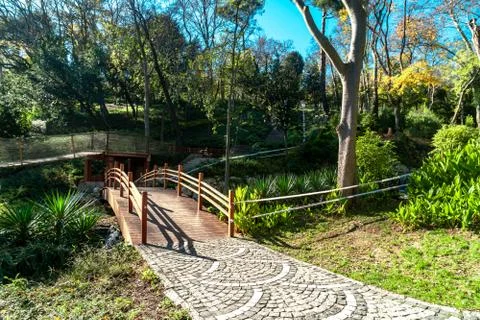 Bridge in Park Stock Photos