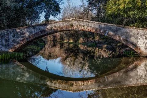 Bridge in the park Foto stock