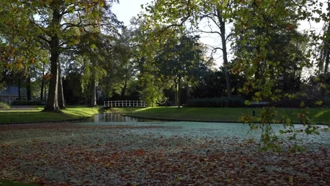 Bridge in park Prinsentuin in Leeuwarden Stock Footage 220429397
