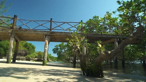 Bridge passing over mangroves Stock Footage 85778666