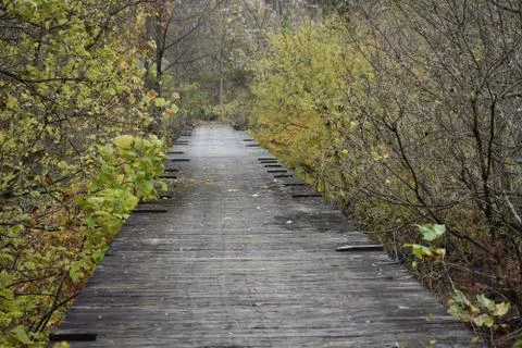 A bridge into the past Foto stock