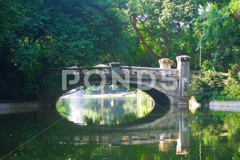 Bridge Stock Photos