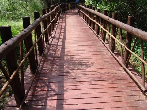 Bridge Photos