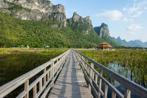 Bridge Stock Photos