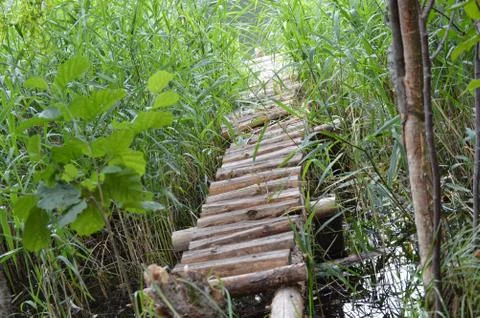 Bridge Stock Photos