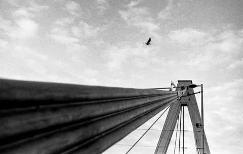 Bridge 스톡 사진