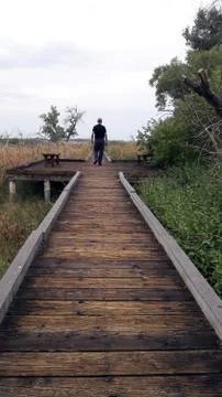 The Bridge Stock Photos