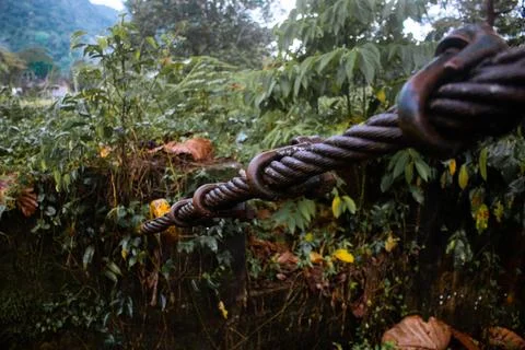 The Bridge Stock Photos