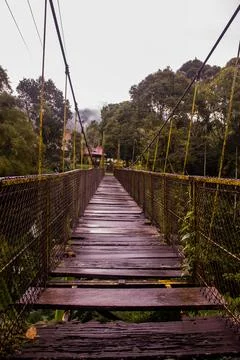 The Bridge Stock Photos