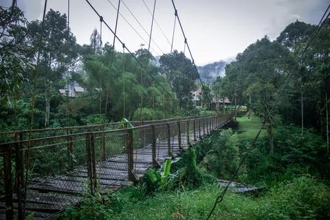 The Bridge Stock Photos