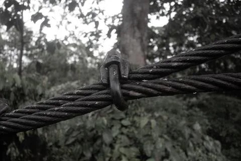 The Bridge Stock Photos