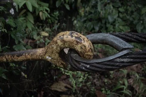 The Bridge Stock Photos