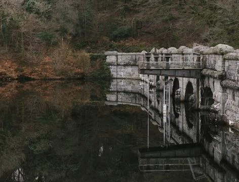 The bridge Stock Photos