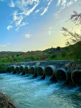 The bridge Stock Photos