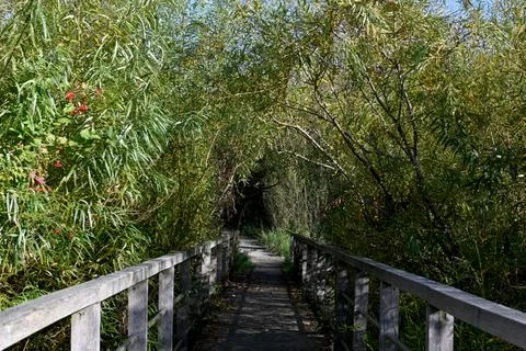 BRidge Foto stock