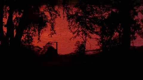 Bridge to the pink river. Framed with trees in contrast lighting Stock Footage 79980942