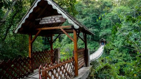 Bridge in rainforest Stock Photos