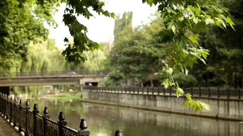Bridge On The River Stock Footage 52557320