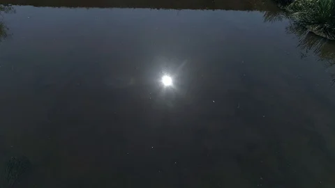 Bridge on the river 스톡 동영상 96613754