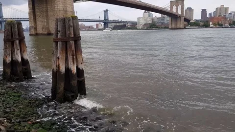 Bridge &amp; River 動画素材 101320763