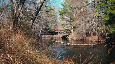 Bridge on the river Stock-Footage 331658357