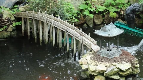 Bridge in a river with forest Vídeos de archivo 305819834