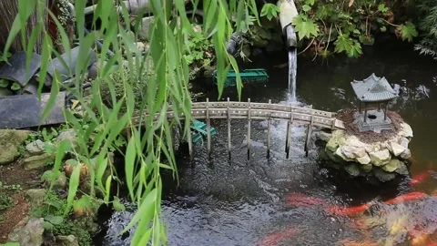 Bridge in a river with forest Video stock 305820216