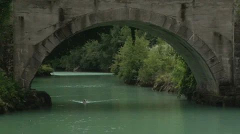 Bridge on the river + gesese Video stock 37296682