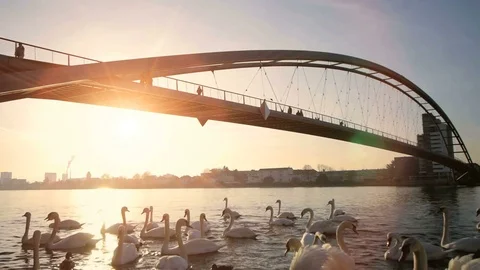Bridge river landscape scenery panorama background at sunset Video stock 72862031