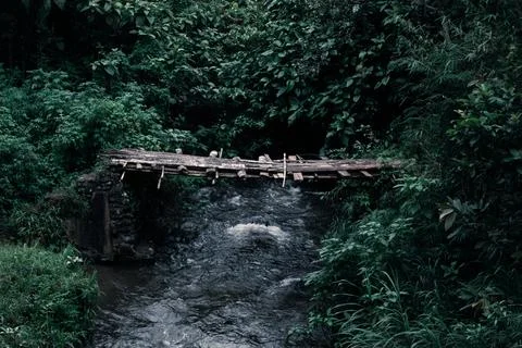 Bridge on the River Foto stock