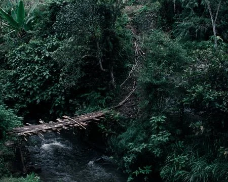 Bridge on the River Foto stock