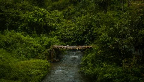 Bridge on the River Stock Photos