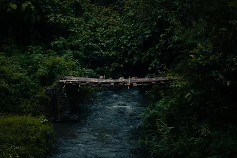 Bridge on the River Foto stock