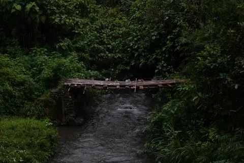 Bridge on the River Stock Photos