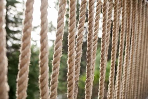 Bridge from the rope. Stock Photos