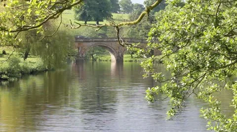 Bridge scene Stock-Footage 12053302