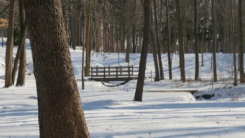 Bridge Scene in the Forest in Winter Video stock 85060193